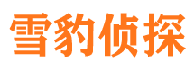 金口河侦探公司